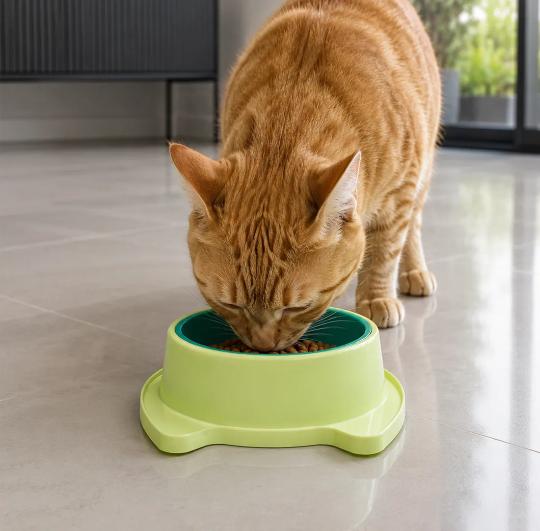 Gato comendo no comedouro Modo Pet